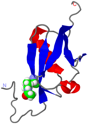 Image NMR Structure - model 1