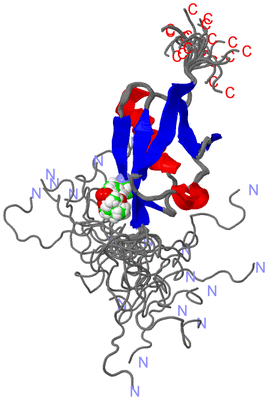 Image NMR Structure - all models