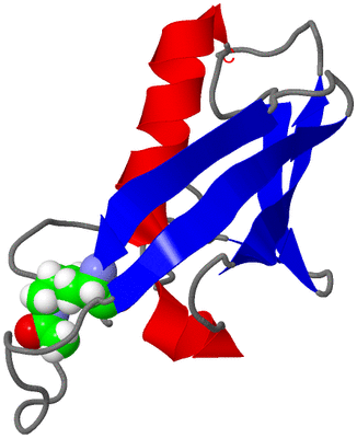 Image NMR Structure - model 1