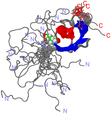 Image NMR Structure - all models