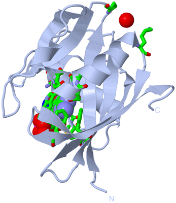 Image Biol. Unit 1 - sites