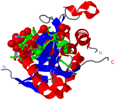 Image Asym./Biol. Unit - sites