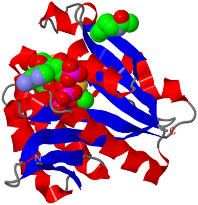 Image Asym./Biol. Unit