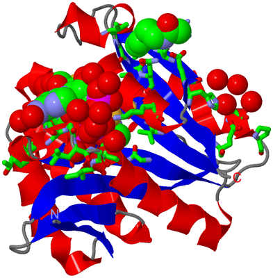 Image Asym./Biol. Unit - sites