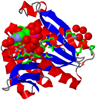 Image Asym./Biol. Unit - sites