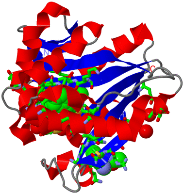 Image Asym./Biol. Unit - sites