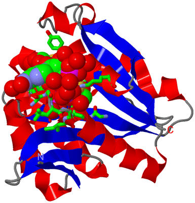 Image Asym./Biol. Unit - sites