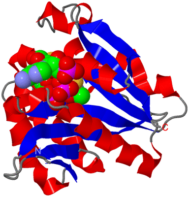 Image Asym./Biol. Unit