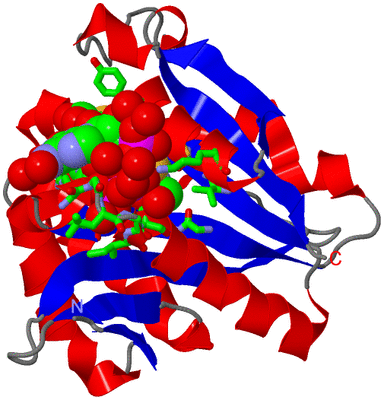 Image Asym./Biol. Unit - sites