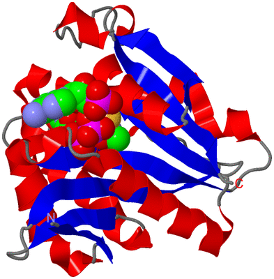 Image Asym./Biol. Unit