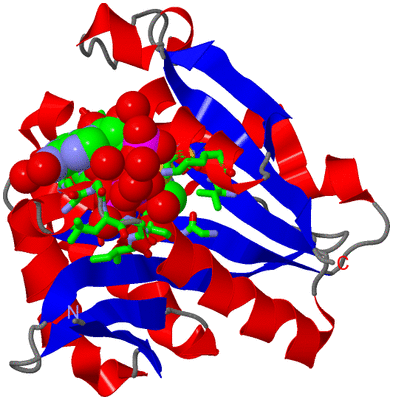 Image Asym./Biol. Unit - sites