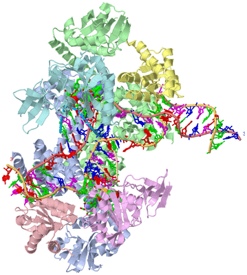 Image Biol. Unit 1 - sites