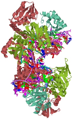 Image Biological Unit 2