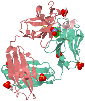 Image Biological Unit 1