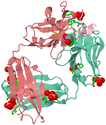 Image Biol. Unit 1 - sites