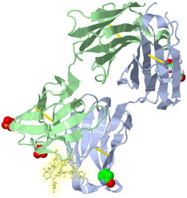 Image Biological Unit 2