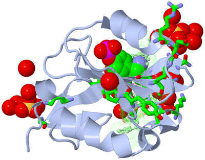 Image Asym./Biol. Unit - sites