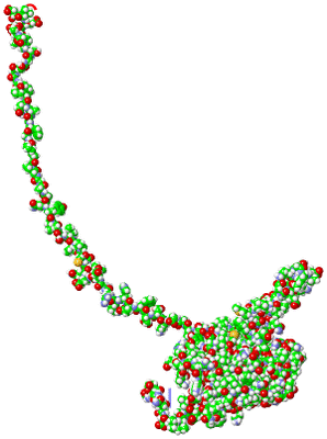 Image NMR Structure - model 1