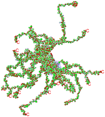 Image NMR Structure - all models