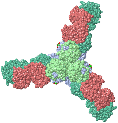 Image Biological Unit 1