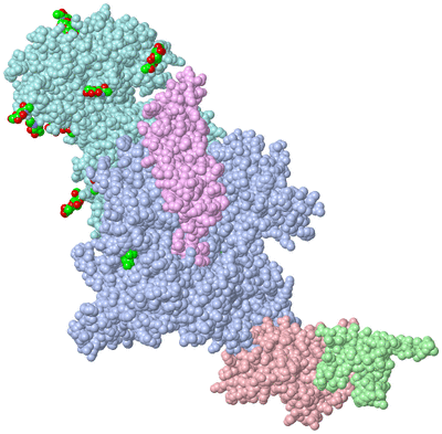 Image Asym./Biol. Unit