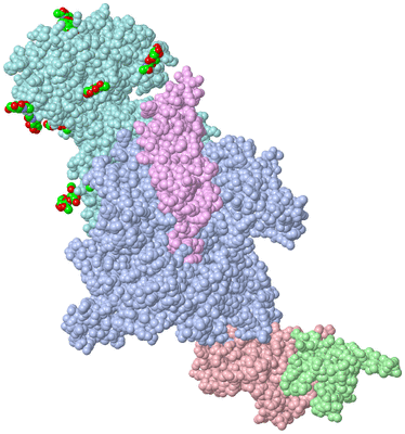 Image Asym./Biol. Unit