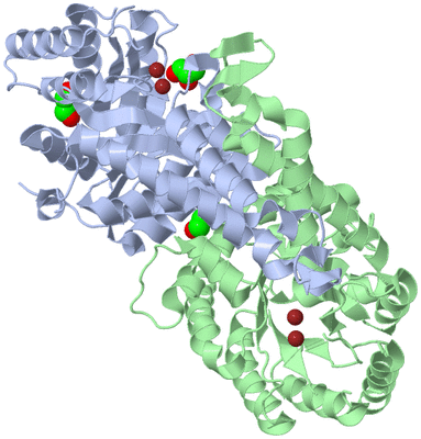 Image Asym./Biol. Unit