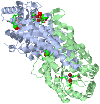 Image Asym./Biol. Unit - sites