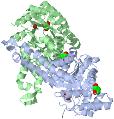 Image Biological Unit 1