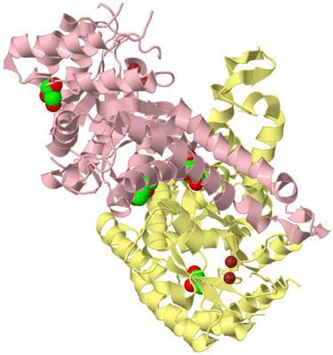 Image Biological Unit 2