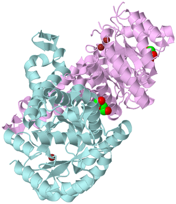 Image Biological Unit 3