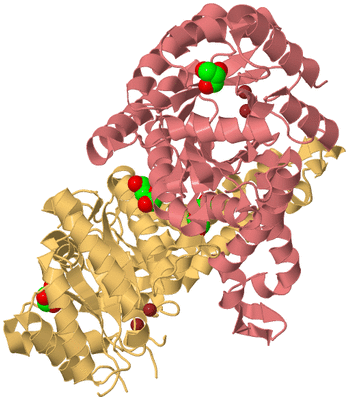 Image Biological Unit 4