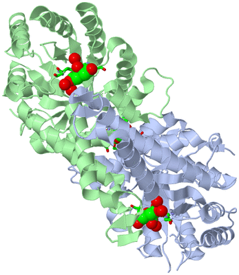 Image Asym./Biol. Unit - sites