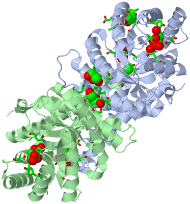 Image Asym./Biol. Unit - sites