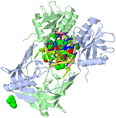 Image Asym./Biol. Unit