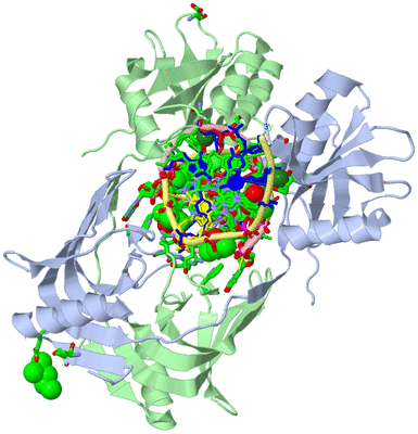 Image Asym./Biol. Unit - sites