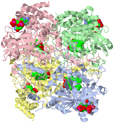 Image Asym./Biol. Unit