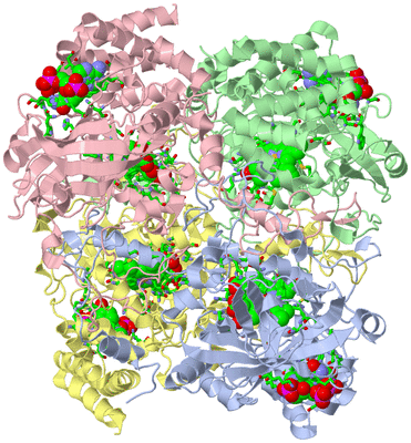 Image Asym./Biol. Unit - sites