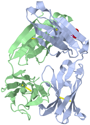 Image Biological Unit 1