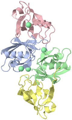 Image Asym./Biol. Unit