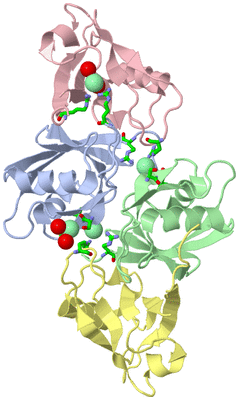 Image Asym./Biol. Unit - sites