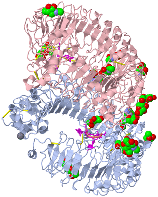 Image Biological Unit 1