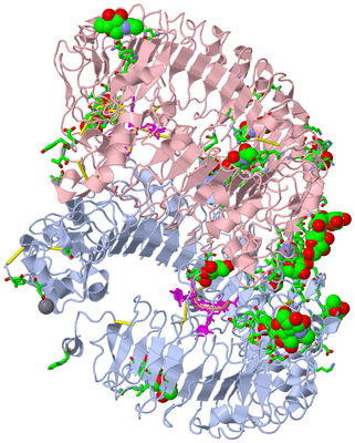 Image Biol. Unit 1 - sites