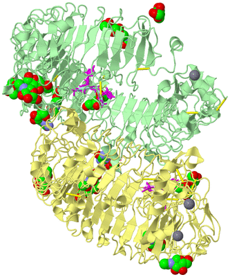 Image Biological Unit 2