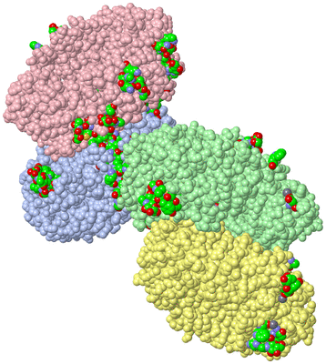 Image Asym. Unit - sites