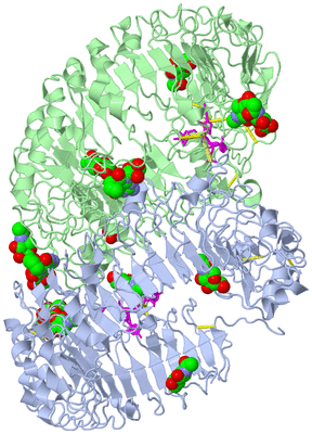 Image Asym./Biol. Unit