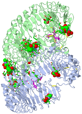 Image Asym./Biol. Unit - sites