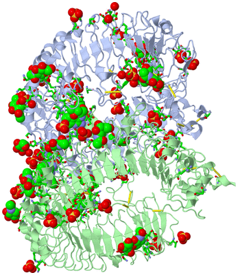 Image Asym./Biol. Unit - sites