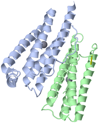 Image Asymmetric Unit