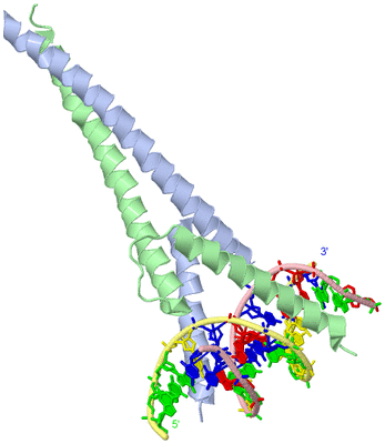 Image Biological Unit 2